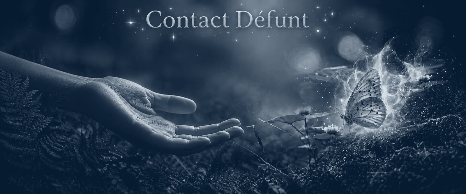 Une main ouverte tendue vers un papillon lumineux entouré de volutes, dans un sous-bois nocturne parsemé d'étoiles, en noir et blanc. Le titre « Contact Défunt » y est inscrit.