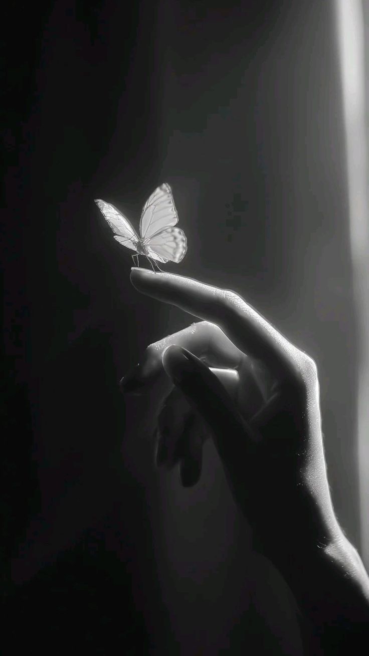 Un papillon blanc, ailes déployées, posé au bout des doigts d'une main levée à contre-jour ; photographie monochrome